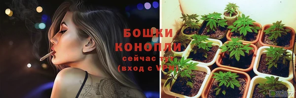 амф Вяземский