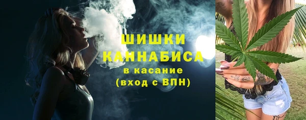 гашик Вязьма