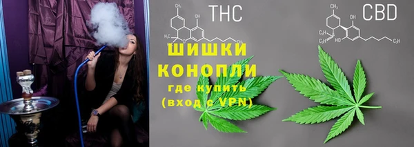 амф Вяземский