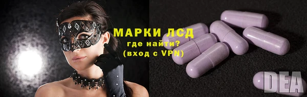 амф Вяземский