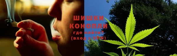 амф Вяземский