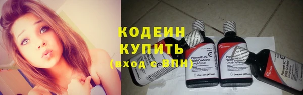 гашик Вязьма