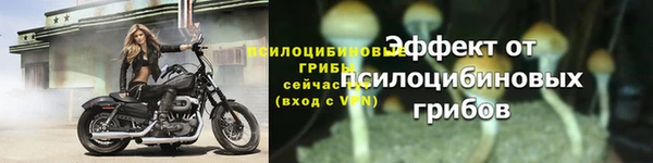 гашик Вязьма