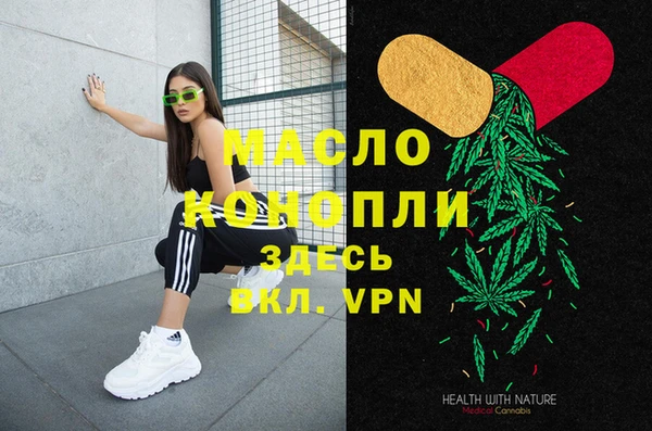 гашик Вязьма
