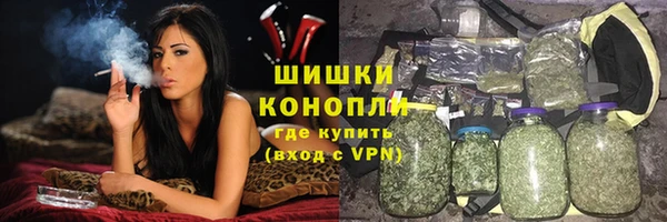 гашик Вязьма
