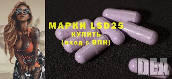 амф Вяземский
