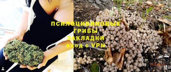 амф Вяземский