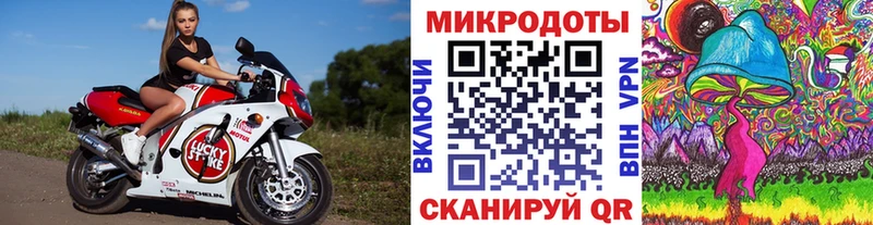 Галлюциногенные грибы Psilocybe Дигора