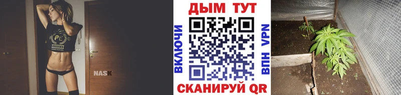 Шишки марихуана индика  Купить где  Дигора 